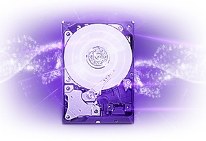 Kool Tools: WD Purple surveillance class hard drive line