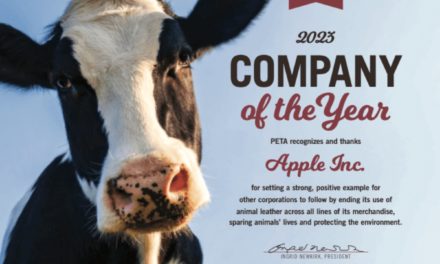 Apple named PETA’s company of the year after ditching leather