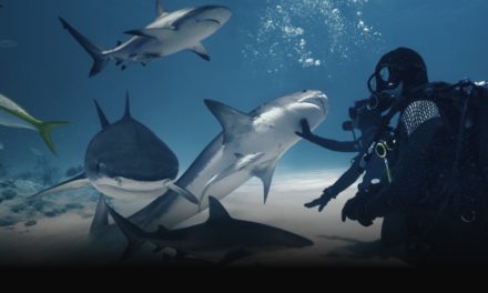 Go swimming with sharks in latest ‘Wild Life on Apple Vision Pro’