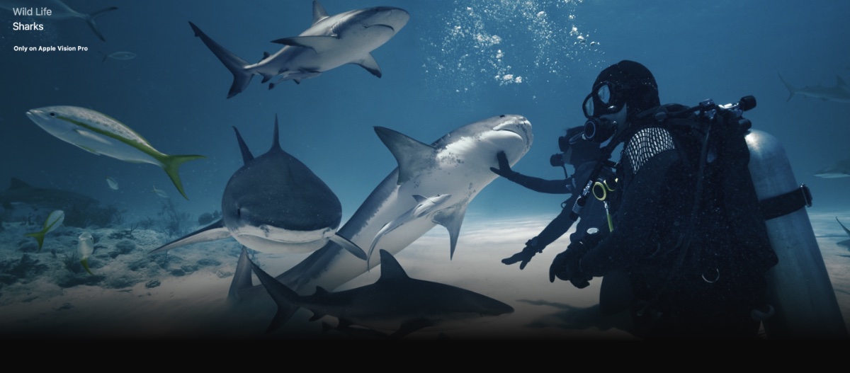 Go swimming with sharks in latest ‘Wild Life on Apple Vision Pro’