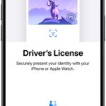 Eight more states plan to allow folks to add their driver’s license to Apple Wallet